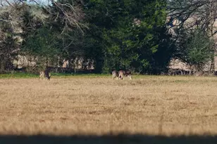 6008 FM 344, Bullard, TX 75757 - Photo 28
