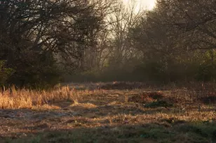 6008 FM 344, Bullard, TX 75757 - Photo 16