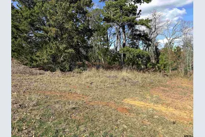 15899 Crazyhorse  Drive, Lindale, TX 75771 - Photo 2