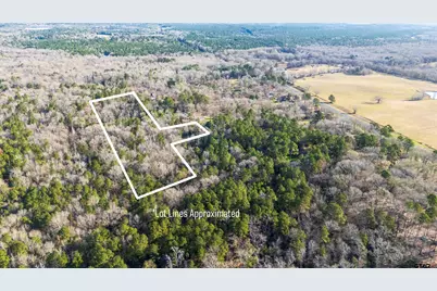 Tbd Neches Trace (15.951 Acres), Palestine, TX 75803 - Photo 10