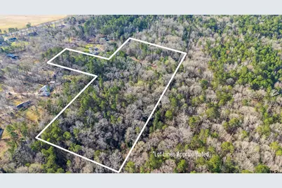 Tbd Neches Trace (15.951 Acres), Palestine, TX 75803 - Photo 6