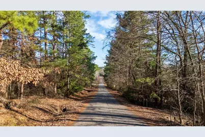 Tbd Neches Trace (15.951 Acres), Palestine, TX 75803 - Photo 14