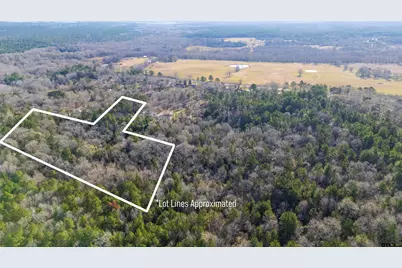 Tbd Neches Trace (15.951 Acres), Palestine, TX 75803 - Photo 8