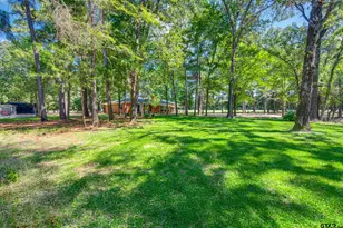 6205 An County Rd 153, Palestine, TX 75801 - Photo 28