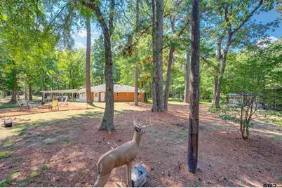 6205 An County Road 153, Palestine, TX 75801 - Photo 24