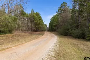 11631 Moser Ln, Whitehouse, TX 75791 - Photo 30