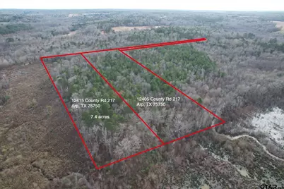 12415 County Road 217, Arp, TX 75750 - Photo 6