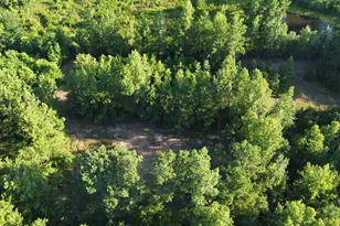 1111 Gilmer Rd, Winnsboro, TX 75494 - Photo 14