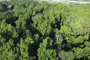 1111 Gilmer Rd, Winnsboro, TX 75494 - Photo 38