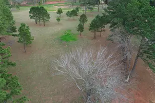 Tract 4 000 Fm 2493 E, Bullard, TX 75757 - Photo 6