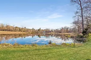 1687 W Point Rd, Kilgore, TX 75662 - Photo 40