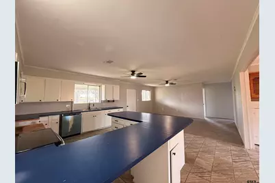 5203 E US Highway 69, Alba, TX 75410 - Photo 1