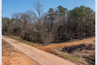 21324 Gatlinburg Road, Bullard, TX 75757 - Photo 10