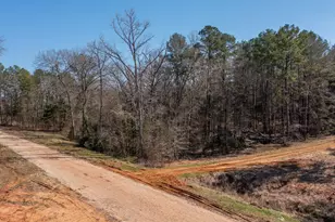 21324 Gatlinburg Rd, Bullard, TX 75757 - Photo 10