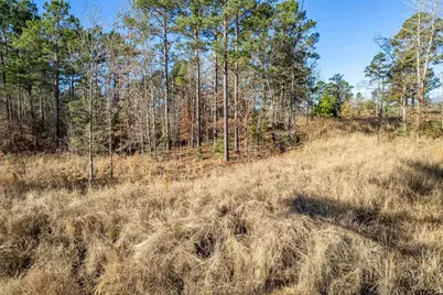 Tbd County Road 1231, Palestine, TX 75801 - Photo 12