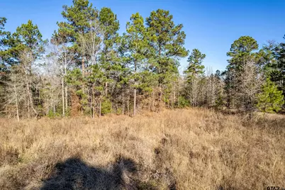 Tbd County Road 1231, Palestine, TX 75801 - Photo 10