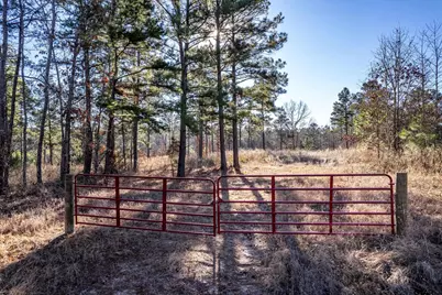 Tbd County Road 1231, Palestine, TX 75801 - Photo 2