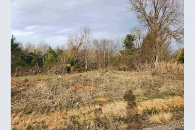 Lot 2 Cr 2310, Sulphur Springs, TX 75482 - Photo 1