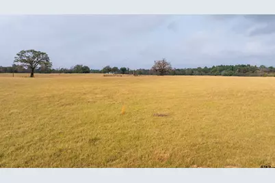 1026 An County Road 2218, Tennessee Colony, TX 75861 - Photo 42