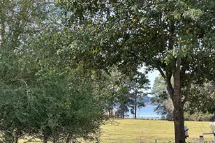 258 Woodhue, Bullard, TX 75757 - Photo 6