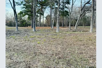 0 Cr 2269, Mineola, TX 75773 - Photo 10