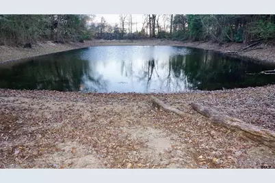 0000 Hwy 37, Quitman, TX 75783 - Photo 8