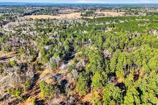 18737 Saddleback Ln, Flint, TX 75762 - Photo 46