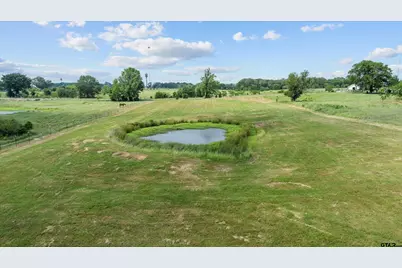 Tbd Fm 1995, Van, TX 75790 - Photo 12