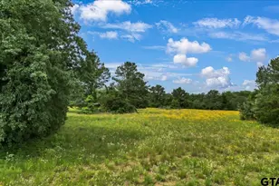 6299 US Hwy 271, Gilmer, TX 75644 - Photo 32