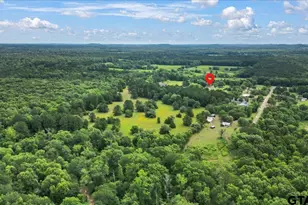 6299 US Hwy 271, Gilmer, TX 75644 - Photo 42