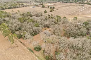 289 Pr 7819, Hawkins, TX 75765 - Photo 32