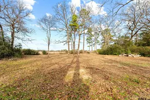 289 Pr 7819, Hawkins, TX 75765 - Photo 28