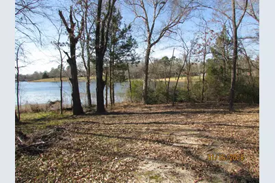 Lt 65 E Lake Drive, Murchison, TX 75778 - Photo 1