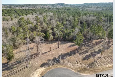 Lt 46 Marble Way, Hallsville, TX 75650 - Photo 4