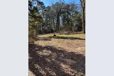 310 Private Road 8570, Winnsboro, TX 75494 - Photo 10