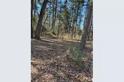 310 Private Road 8570, Winnsboro, TX 75494 - Photo 16