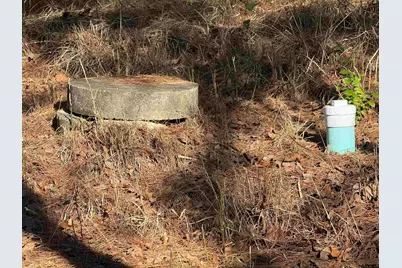 310 Private Road 8570, Winnsboro, TX 75494 - Photo 6