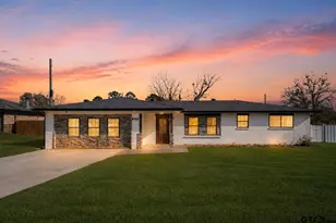 225 Joy Dr, Ore City, TX 75683 - Photo 1