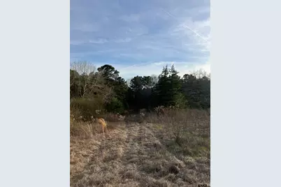 2307 Cr 3305, Jacksonville, TX 75766 - Photo 4