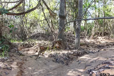 Lot 93 Ridgeline Loop, Winona, TX 75792 - Photo 4