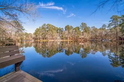 132 Pine Glen Lane, Holly Lake Ranch, TX 75765 - Photo 34