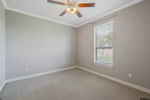 202 Zebra Way, Bullard, TX 75757 - Photo 22