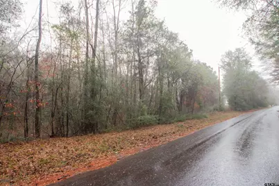 1348 Cr 448, Carthage, TX 75633 - Photo 1