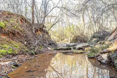Tbd Red Oak Road, Marshall, TX 75670 - Photo 32