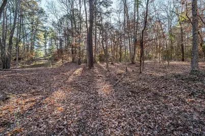 Tbd Red Oak Road, Marshall, TX 75670 - Photo 42