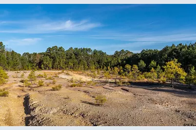 Tbd Red Oak Road, Marshall, TX 75670 - Photo 28