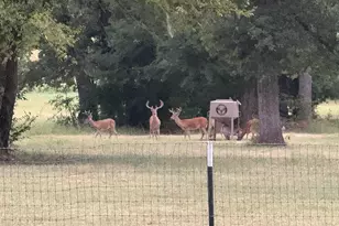 9748 Cr 1200, Athens, TX 75751 - Photo 26