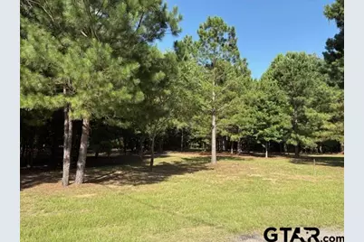 208 Pack Saddle Ridge, Holly Lake Ranch, TX 75765 - Photo 1