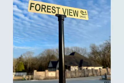 375 Private Road 6235, Mineola, TX 75773 - Photo 4