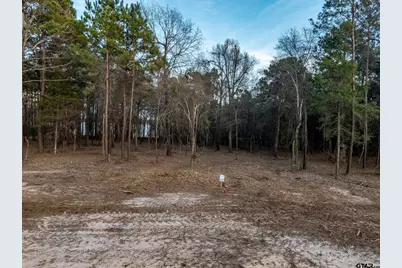 0 Private Road 4300, Frankston, TX 75763 - Photo 2